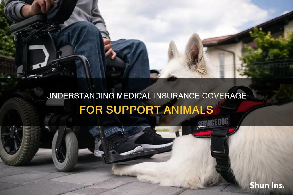 does medical insurance cover support animals