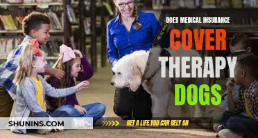 Therapy Dog Owners: Are They Covered by Medical Insurance?