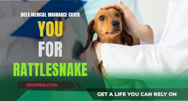 Rattlesnake Bite: Medical Insurance Coverage Explained
