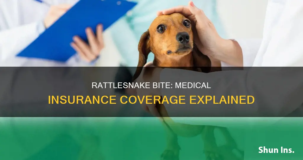 does medical insurance cover you for rattlesnake