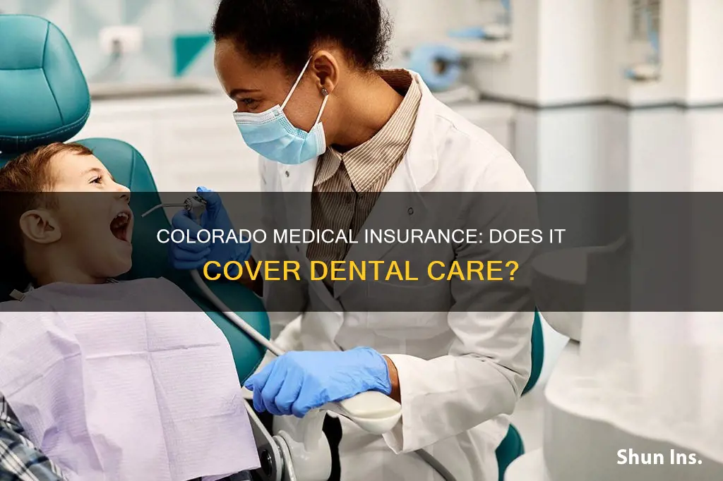 does medical insurance in colorado cover dental