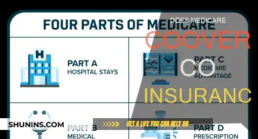 Understanding Medicare: Does It Cover Co-Insurance Costs?