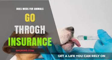 Pet Medication Insurance: What's Covered and What's Not?