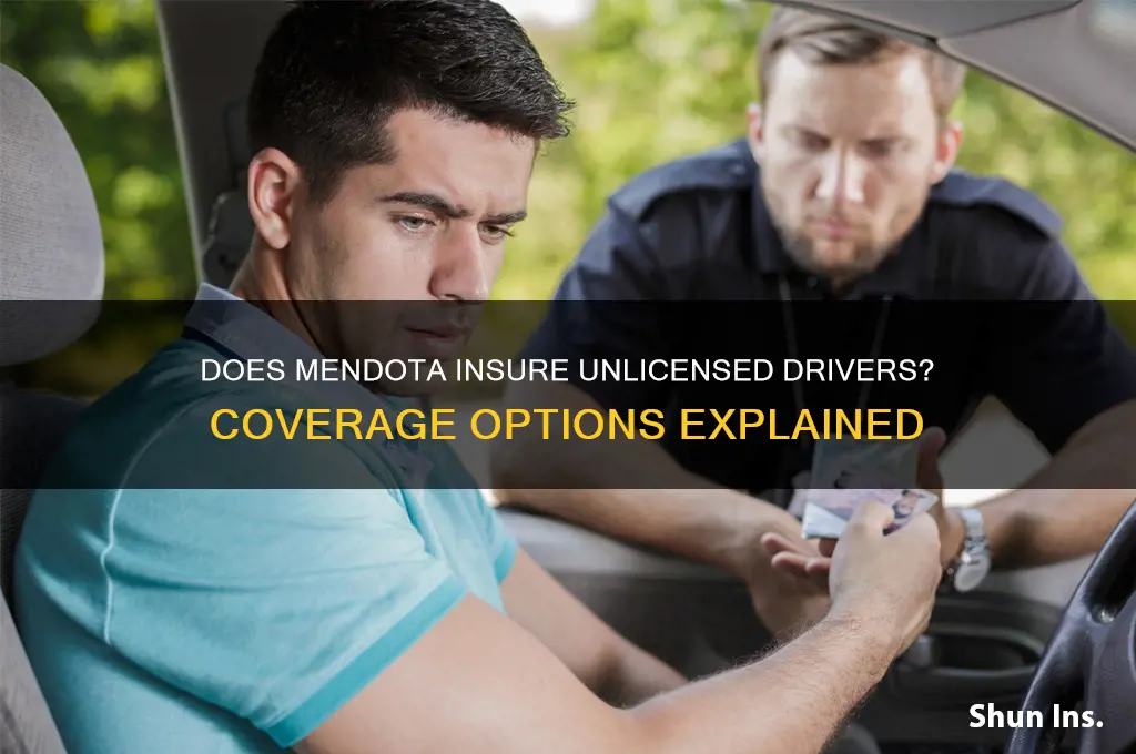 does mendota insure unliscneced