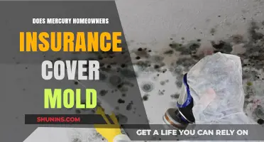 Mold Issues? Mercury Home Insurance Coverage Explained