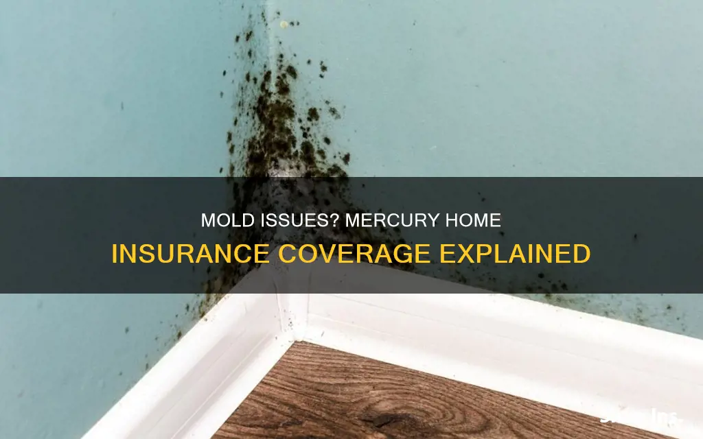 does mercury homeowners insurance cover mold
