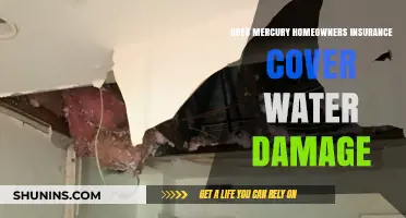 Homeowners Insurance: Water Damage Covered by Mercury?