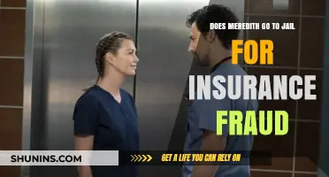 Meredith's Insurance Fraud: Jail Time or Not?
