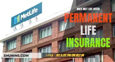 MetLife's Permanent Life Insurance: What You Need to Know