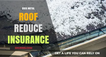 Metal Roofs: Lower Insurance Premiums and Enhanced Home Protection