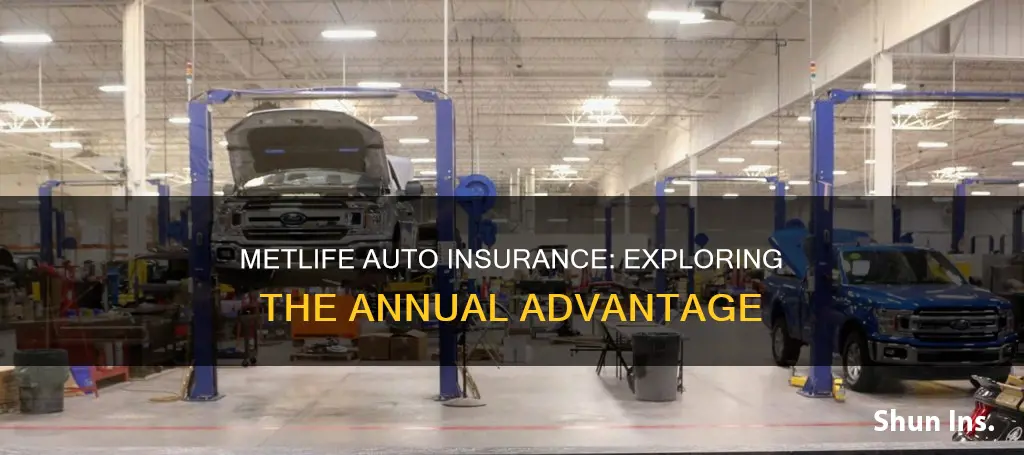 does metlife auto insurance offer yearly