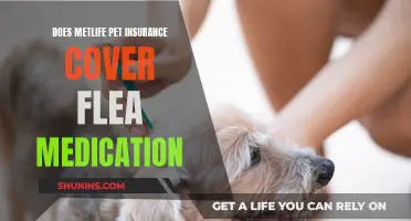 MetLife Pet Insurance: Flea Medication Coverage Explained