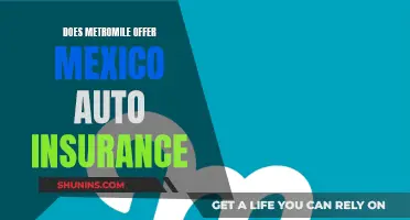 Metromile's Mexico Auto Insurance: What You Need to Know