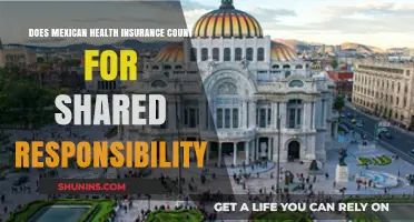 Does Mexican Health Insurance Meet U.S. Shared Responsibility Requirements?