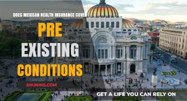 Does Mexican Health Insurance Cover Pre-Existing Conditions? What You Need to Know