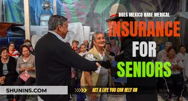 Mexico's Medical Insurance Options for Senior Citizens Explored
