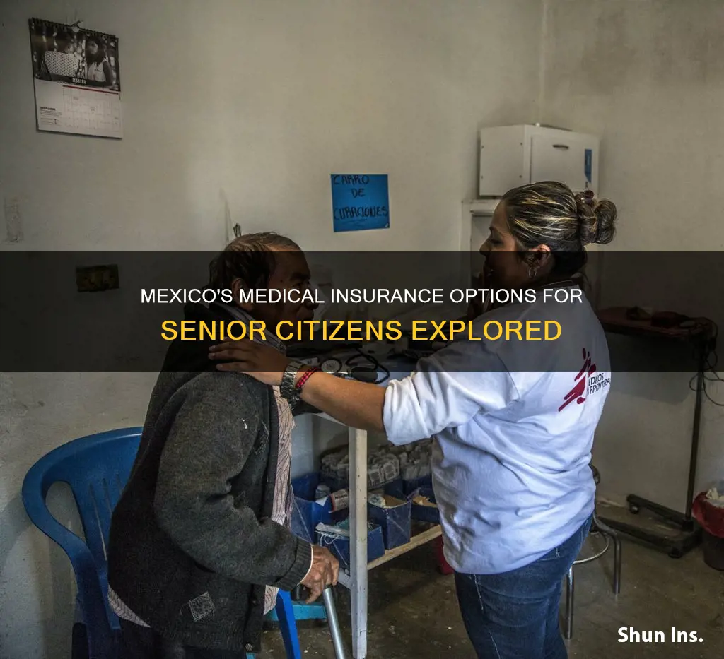 does mexico habe medical insurance for seniors