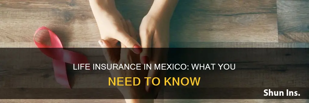 does mexico have life insurance