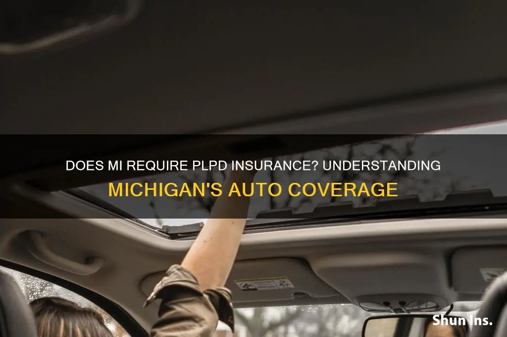 does mi have plpd insurance