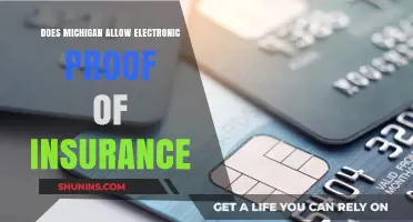 Michigan's Electronic Proof of Insurance: Accepted or Not?