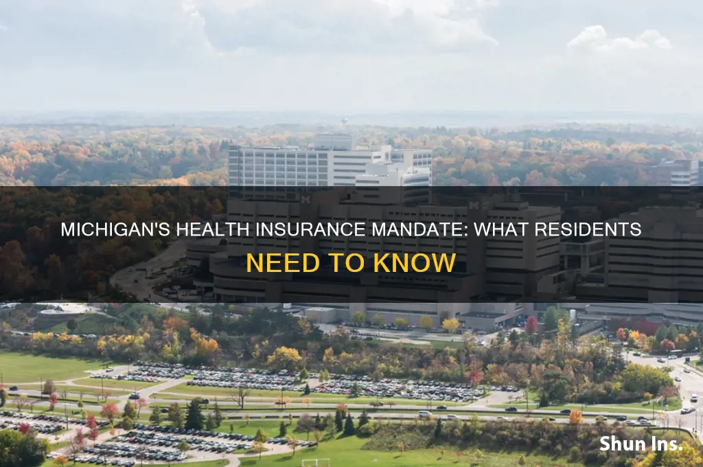 does michigan have a health insurance mandate