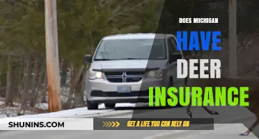 Does Michigan Offer Deer Collision Insurance? What Drivers Need to Know