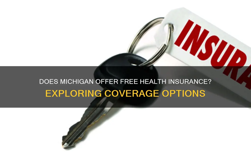 does michigan have free health insurance