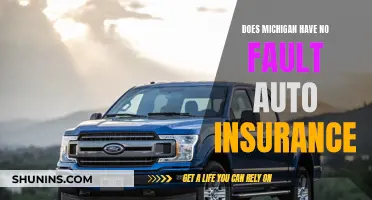 The Myth of No-Fault Auto Insurance in Michigan: Understanding the Reality