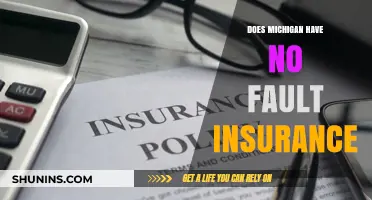 Understanding Michigan's No-Fault Insurance: What You Need to Know