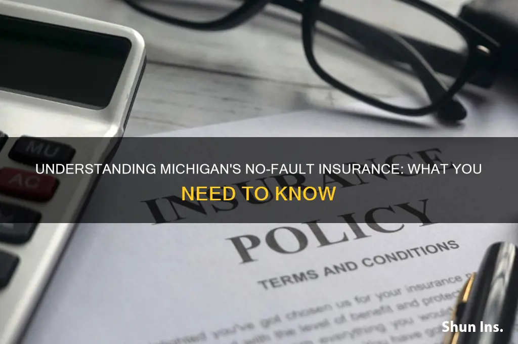 does michigan have no fault insurance