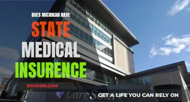 Michigan's State Medical Insurance: What's the Deal?