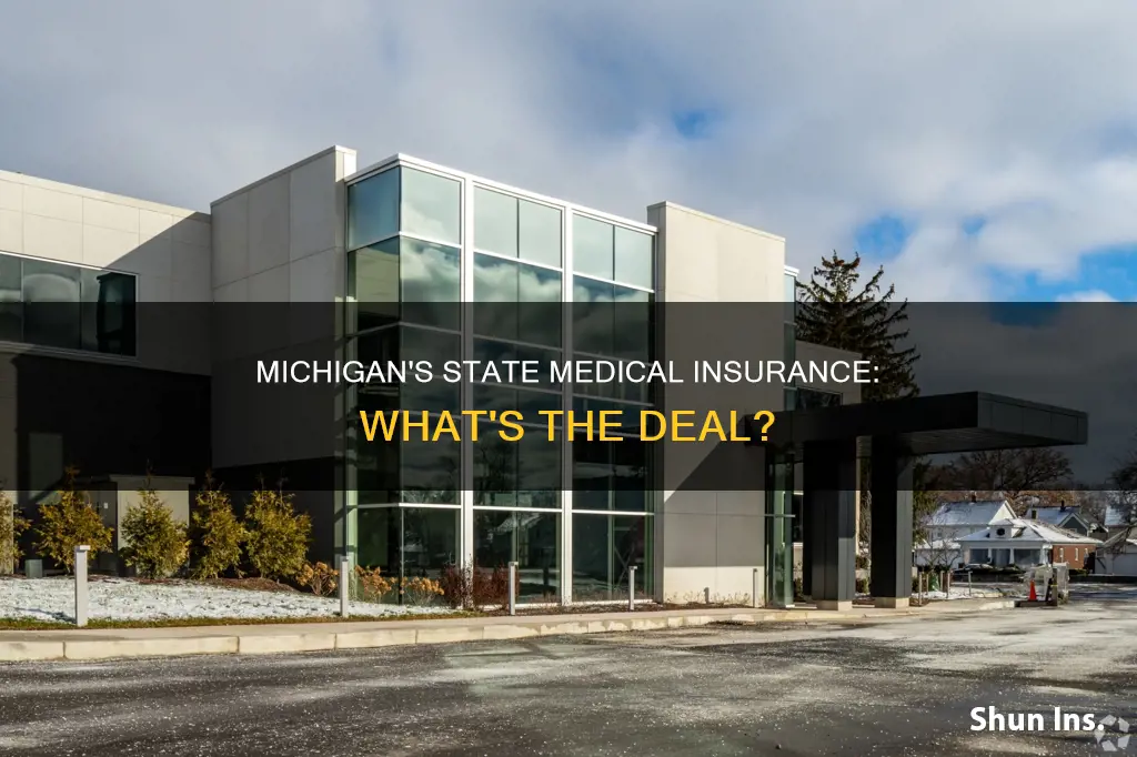 does michigan have state medical insurence
