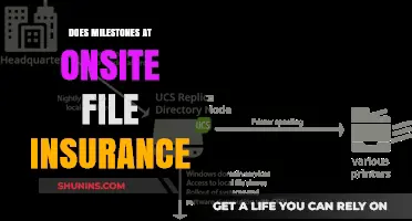 Understanding Onsite File Insurance Milestones: Essential Protection for Your Business