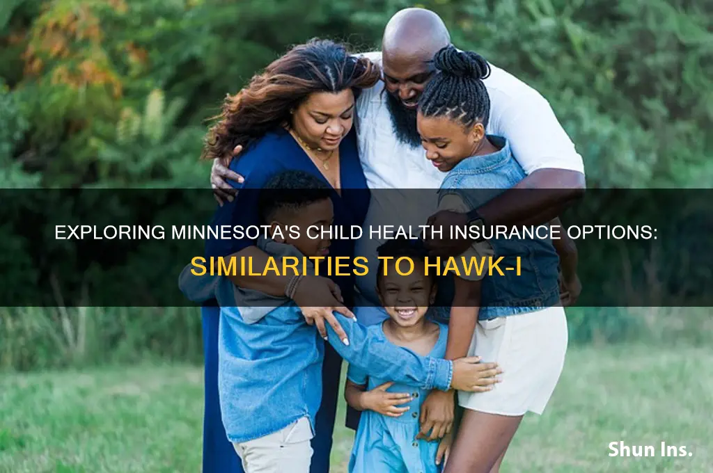 does minnesota have an insurance similar to hawk-i