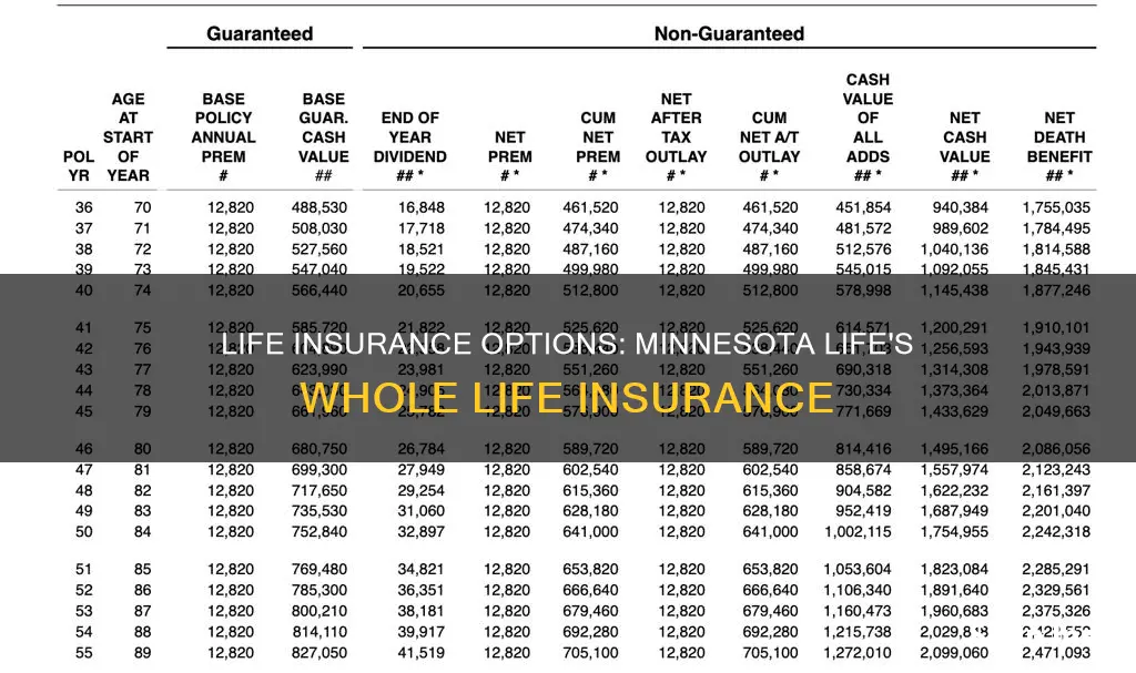 does minnesota life have whole life insurance