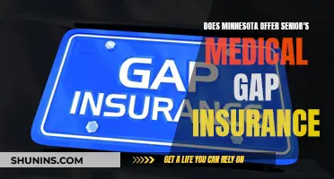 Senior Medical Gap Insurance: Minnesota's Offerings Explained