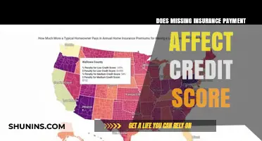 Insurance Payments: Credit Score Impact