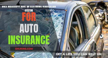 Mississippi's Electronic Verification System for Auto Insurance: What You Need to Know