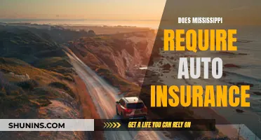 Auto Insurance in Mississippi: What You Need to Know