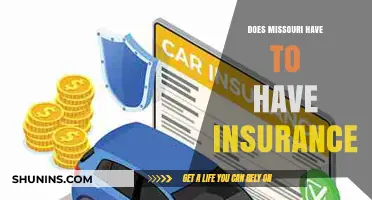 Missouri Auto Insurance Requirements: What You Need to Know