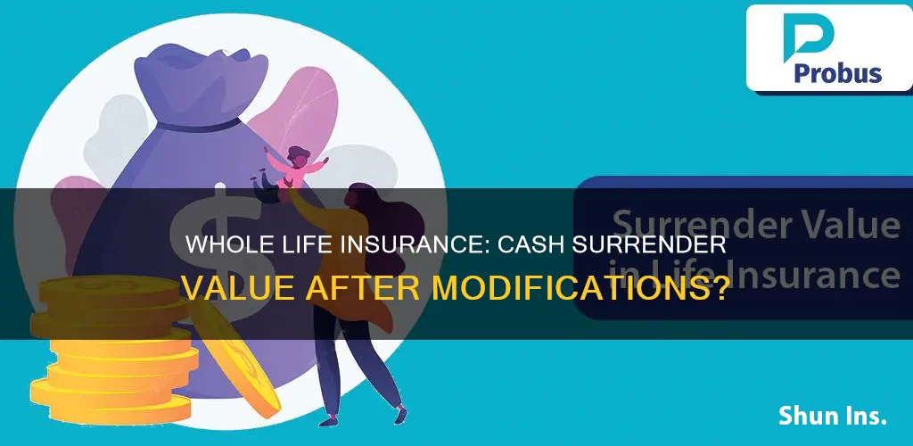 does modified whole life insurance have a cash surrender value