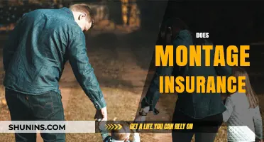 Does Montage Insurance Offer Adequate Coverage for Your Needs?