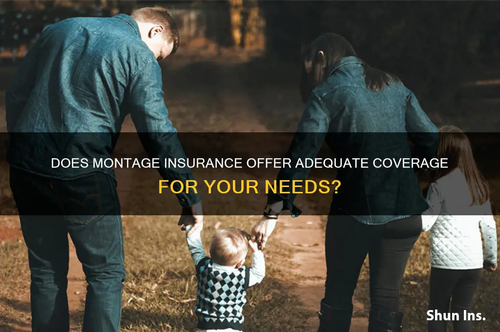 does montage insurance