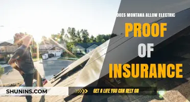 Montana's Digital Insurance Policy: Is Electric Proof of Insurance Accepted?