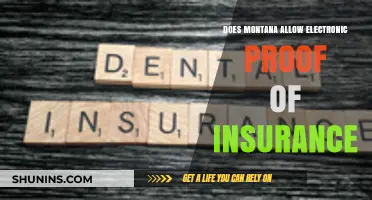 Montana's Electronic Proof of Insurance: Accepted or Not?