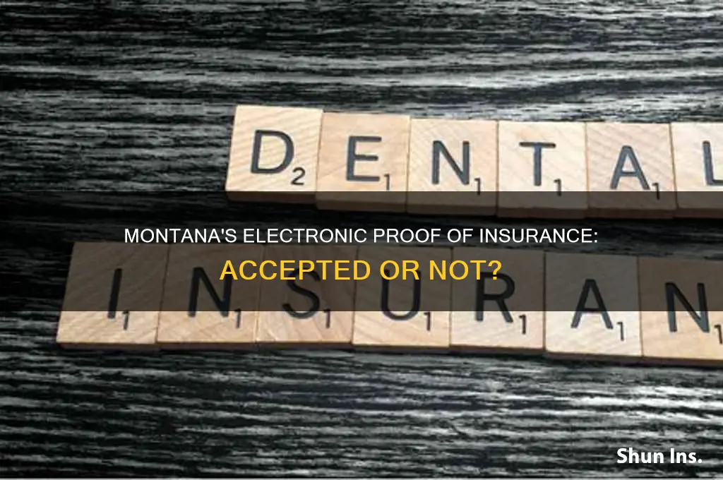 does montana allow electronic proof of insurance