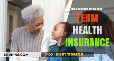 Montana's Short-Term Health Insurance: Eligibility, Coverage, and Regulations Explained