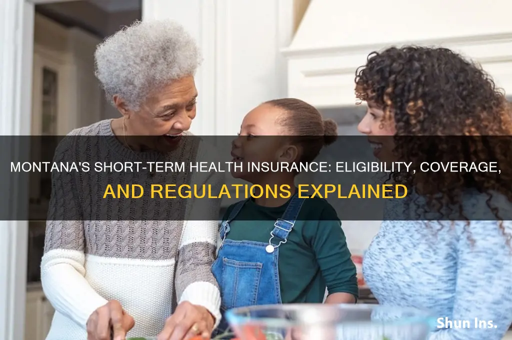 does montana allow short term health insurance