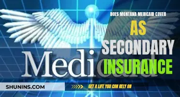 Montana Medicaid: Secondary Insurance Coverage Options and Benefits