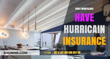 Does Montilago Have Hurricane Insurance? Exploring Coverage Options and Risks